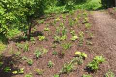 Arbeitspflegeeinsatz am 07.05.22