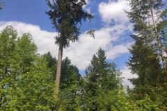 lehrfahrt_2025-3