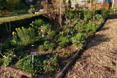 Kreislehrgarten-10