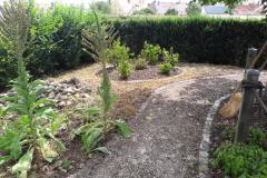 Kreislehrgarten-2