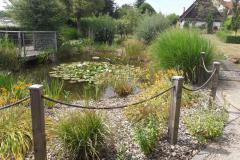 Kreislehrgarten-3