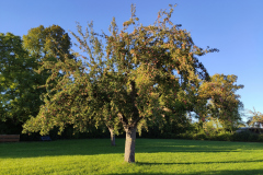 Landratsamt