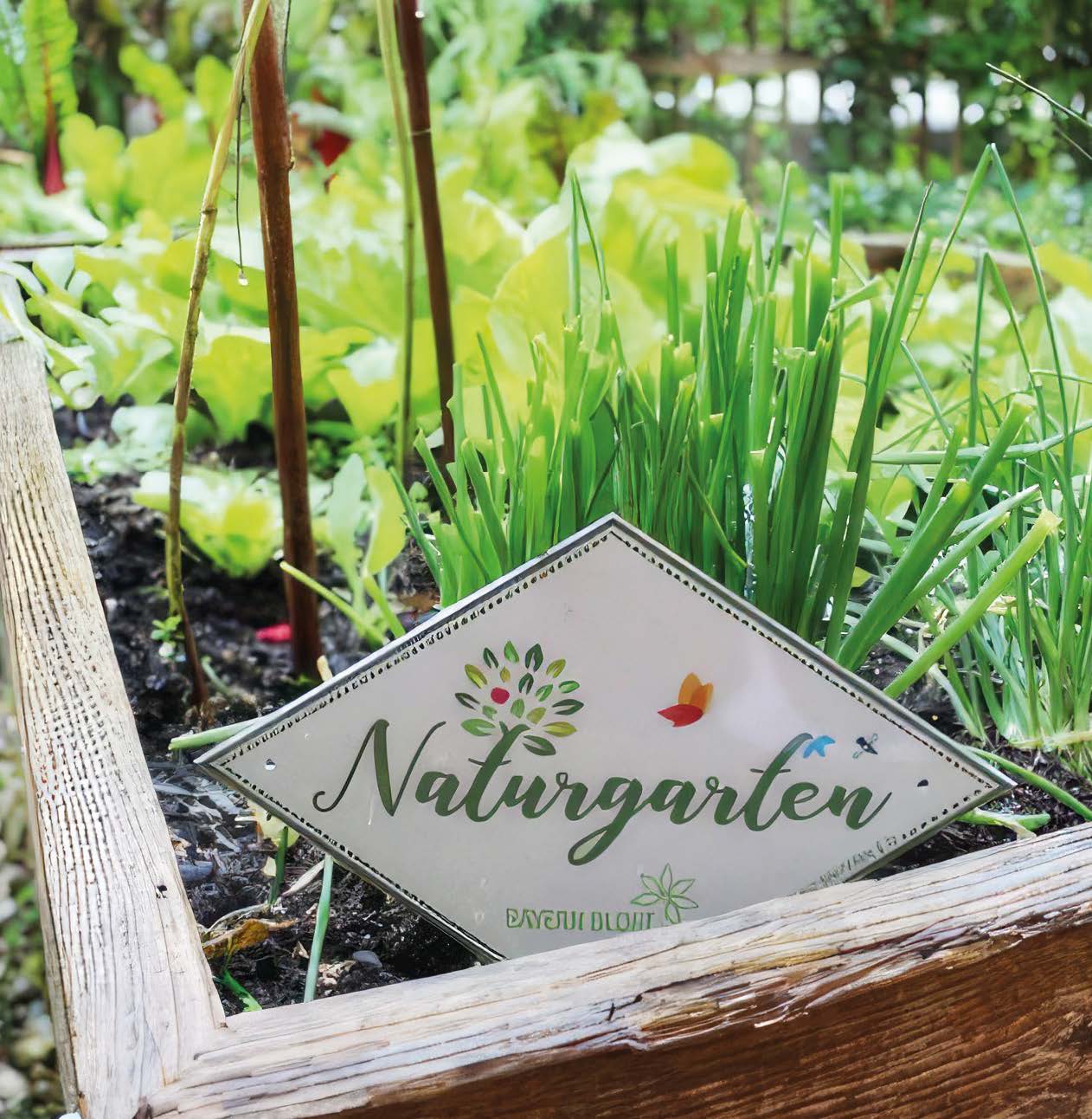 Interesse an einer Naturgarten-Zertifizierung?
